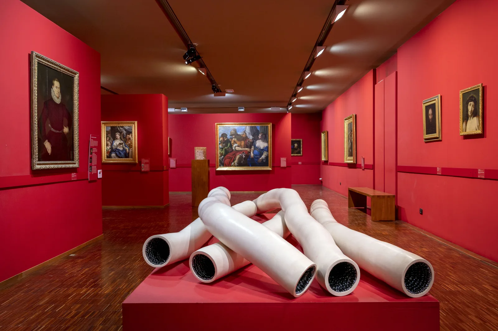 Le Musée Gassendi à Digne-les-Bains — venue Alpes de Haute-Provence