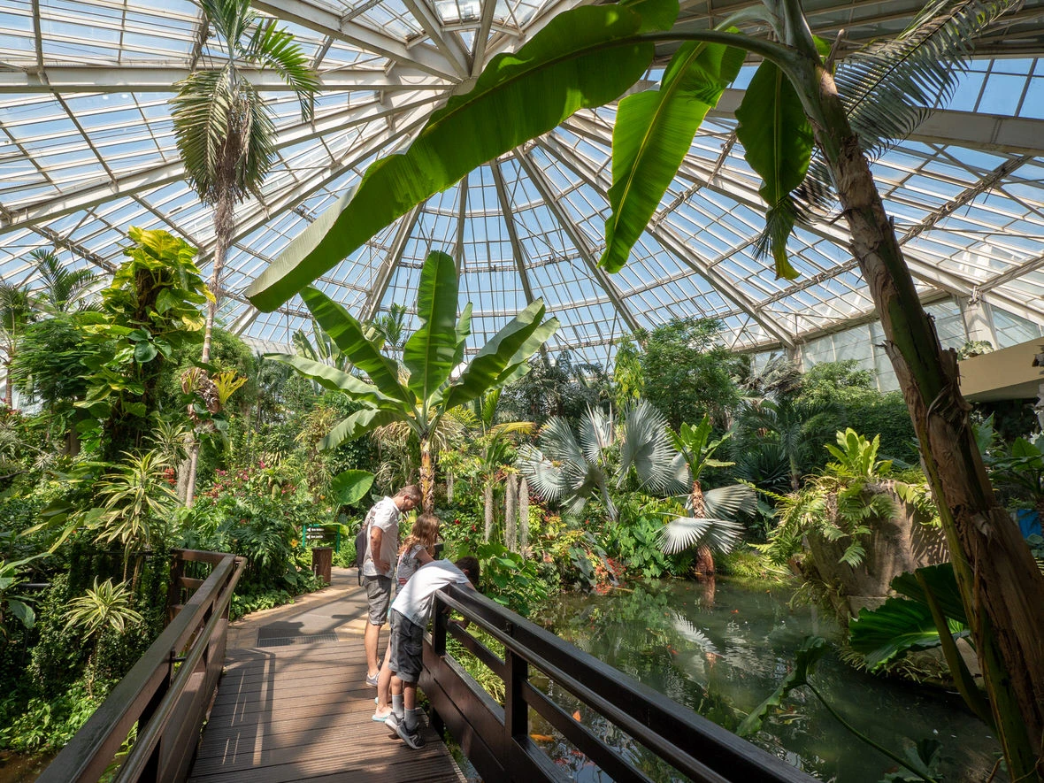 Le Parc Phoenix, Nice — salle événementielle