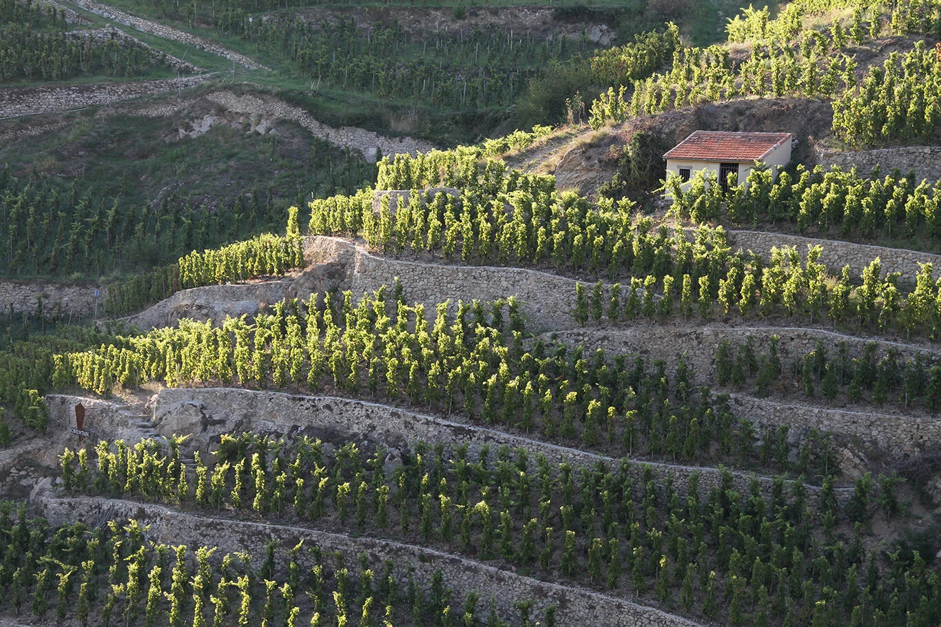 Cave de Tain — venue Ardèche