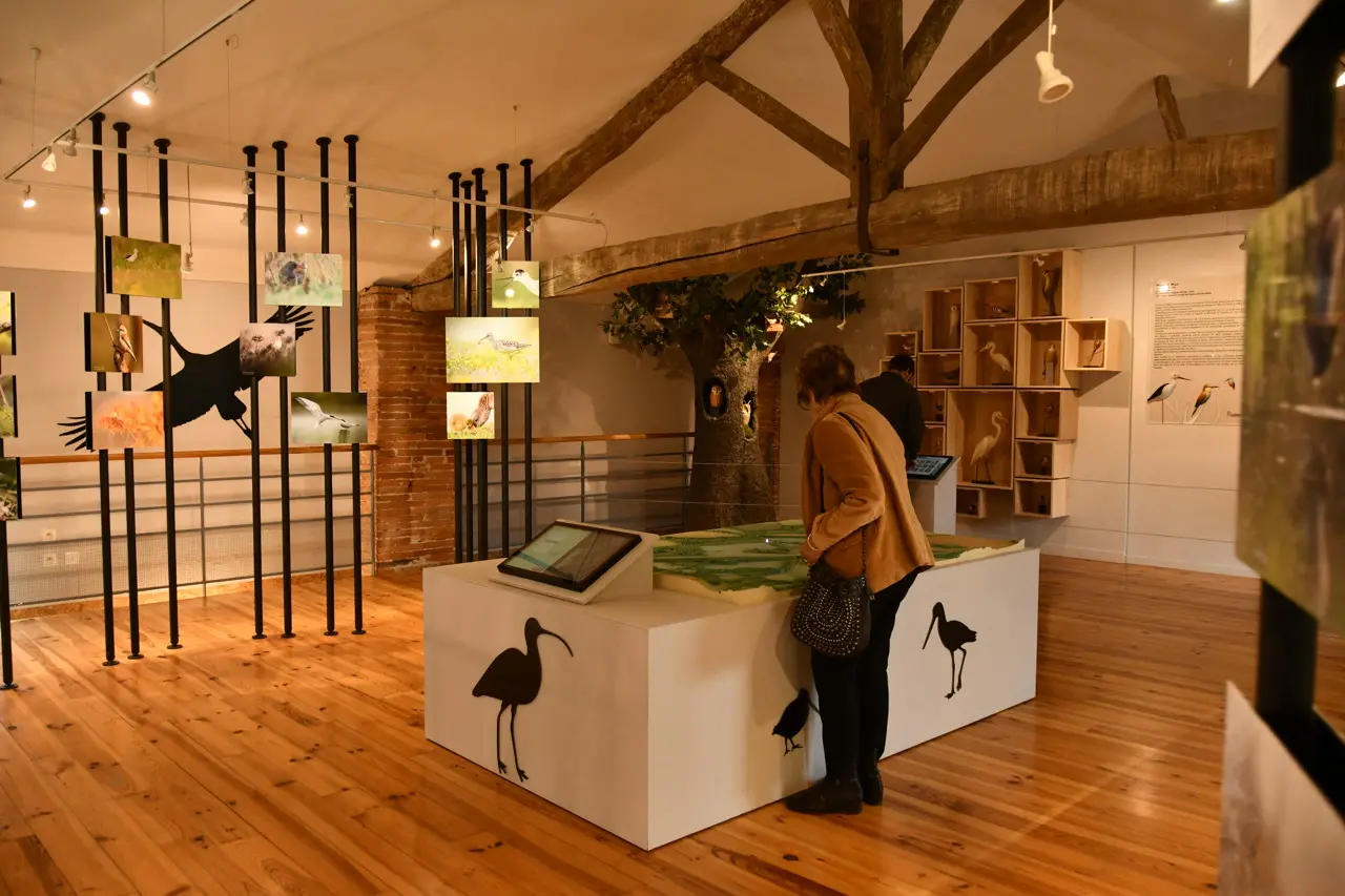 Le Domaine des Oiseaux à Mazères — venue Ariège