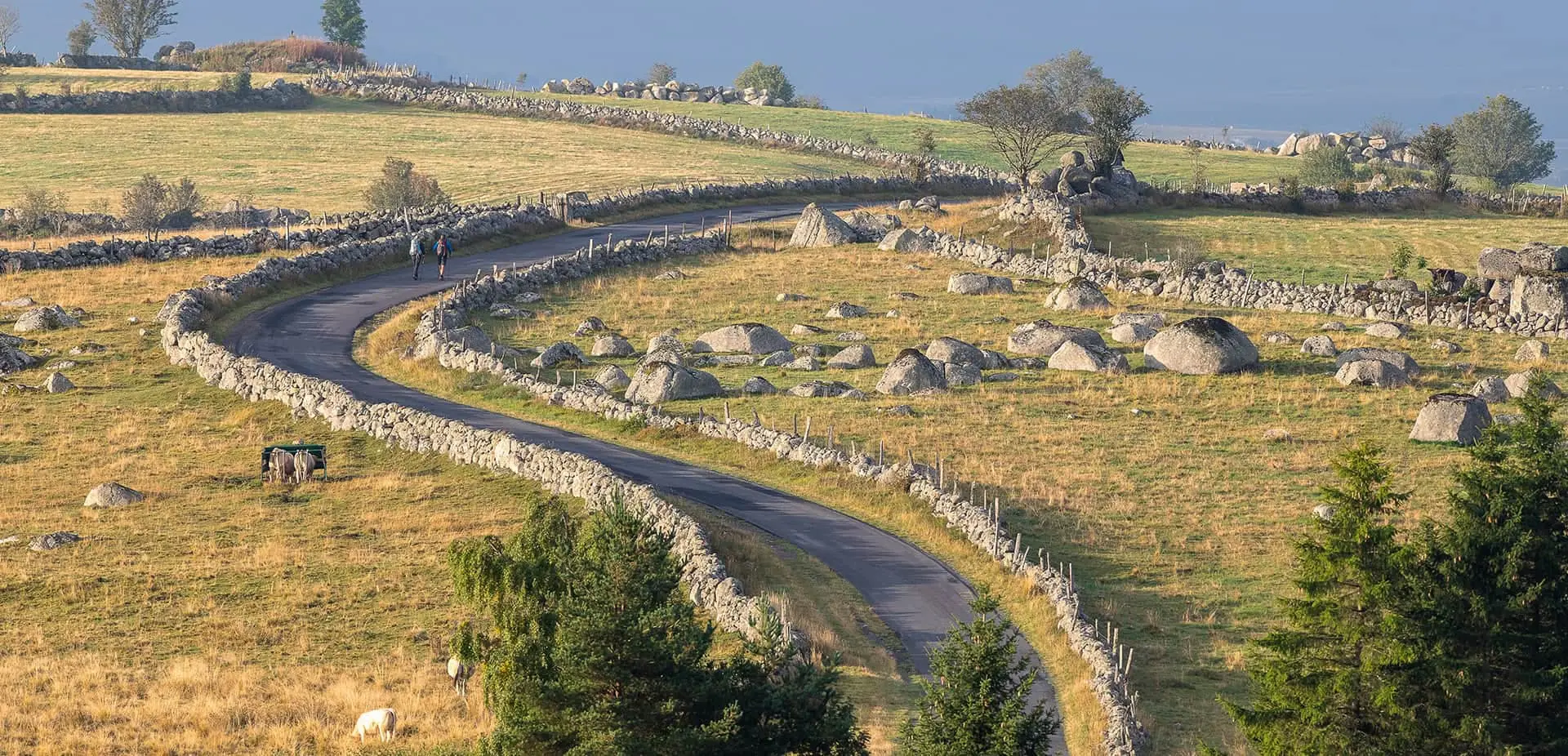 Le Parc naturel régional de l&rsquo;Aubrac à Laguiole — salle événementielle