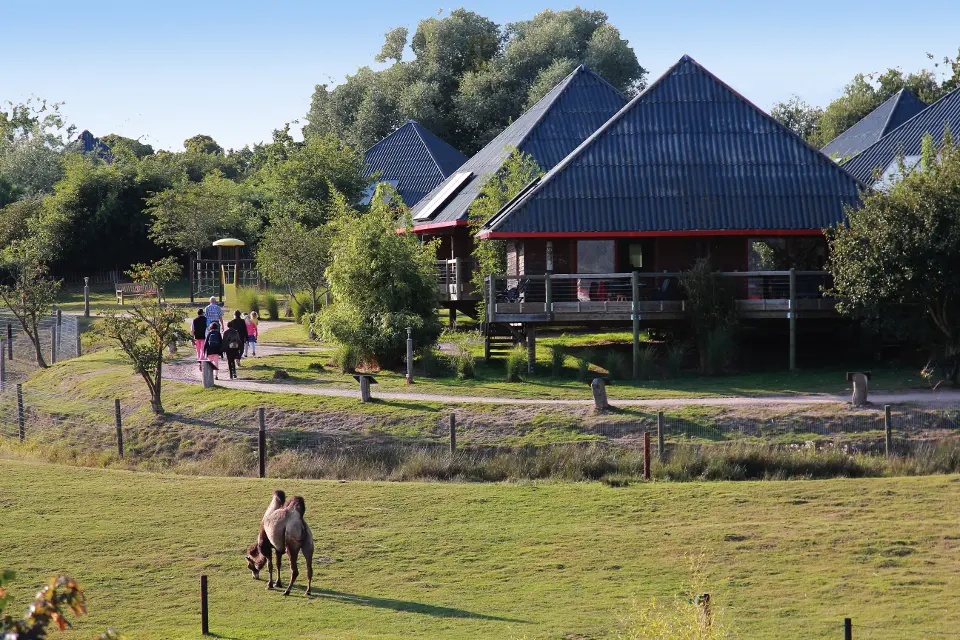 Parc Zoologique de Cerza, Hermival-les-Vaux — salle événementielle