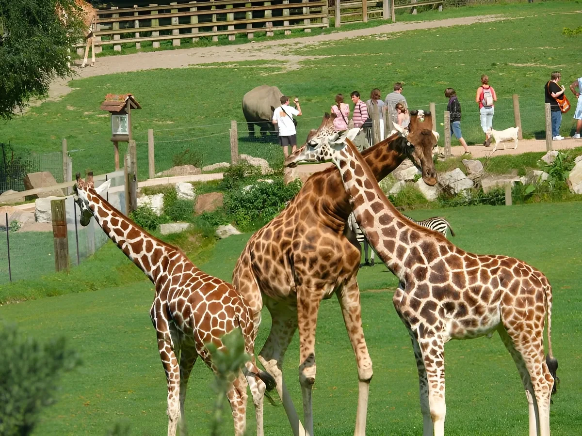 Parc Zoologique de Cerza, Hermival-les-Vaux — lieu événementiel Calvados