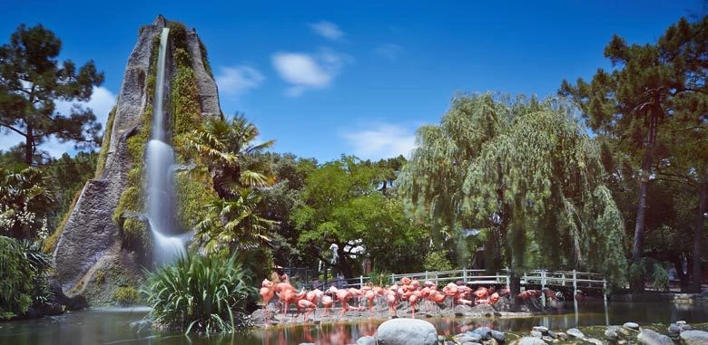 Zoo de La Palmyre à Les Mathes — venue Charente-Maritime