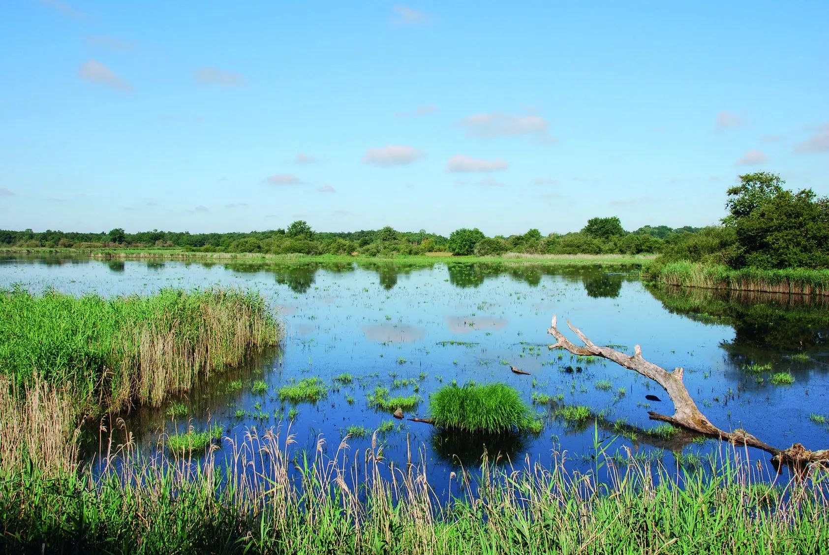 Parc Naturel Régional de la Brenne — salle événementielle