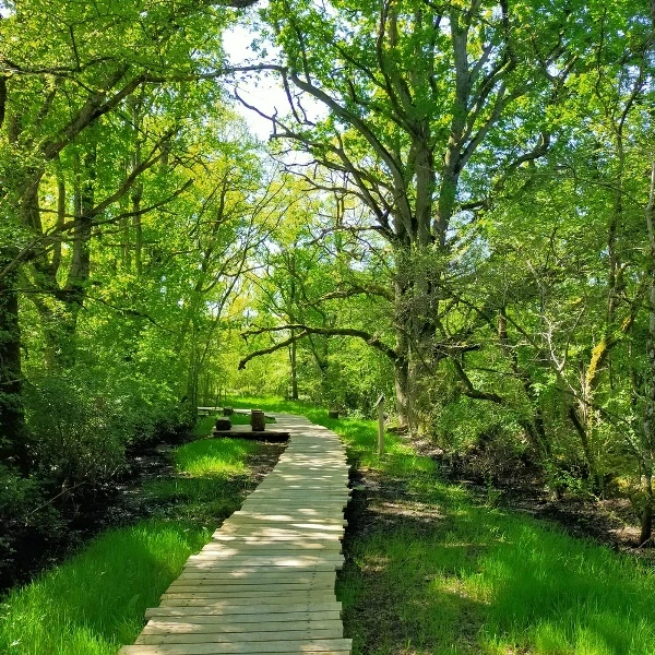 Parc Naturel Régional de la Brenne — venue Cher