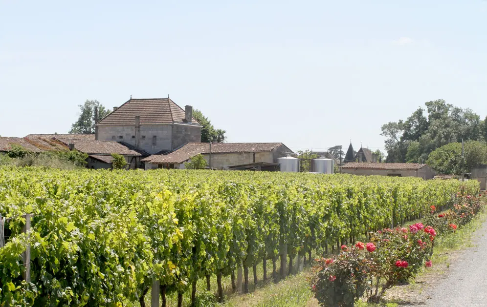 Vignoble du Domaine Sautereau — venue Cher
