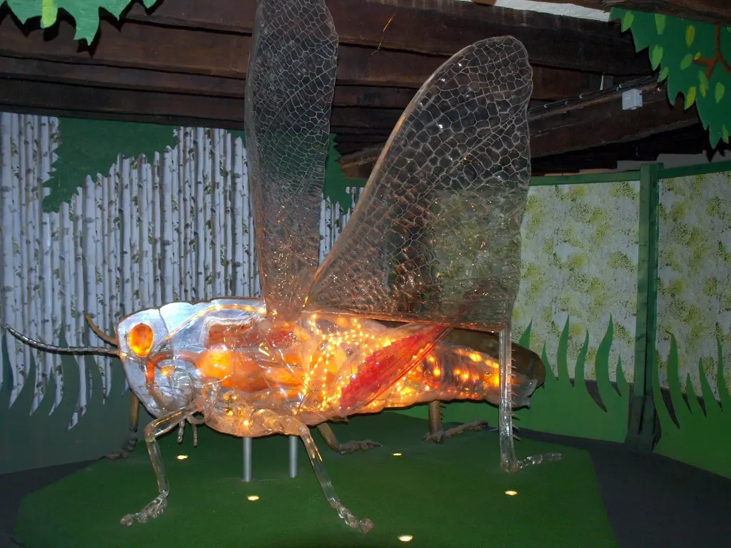 La Cité des Insectes — venue Creuse