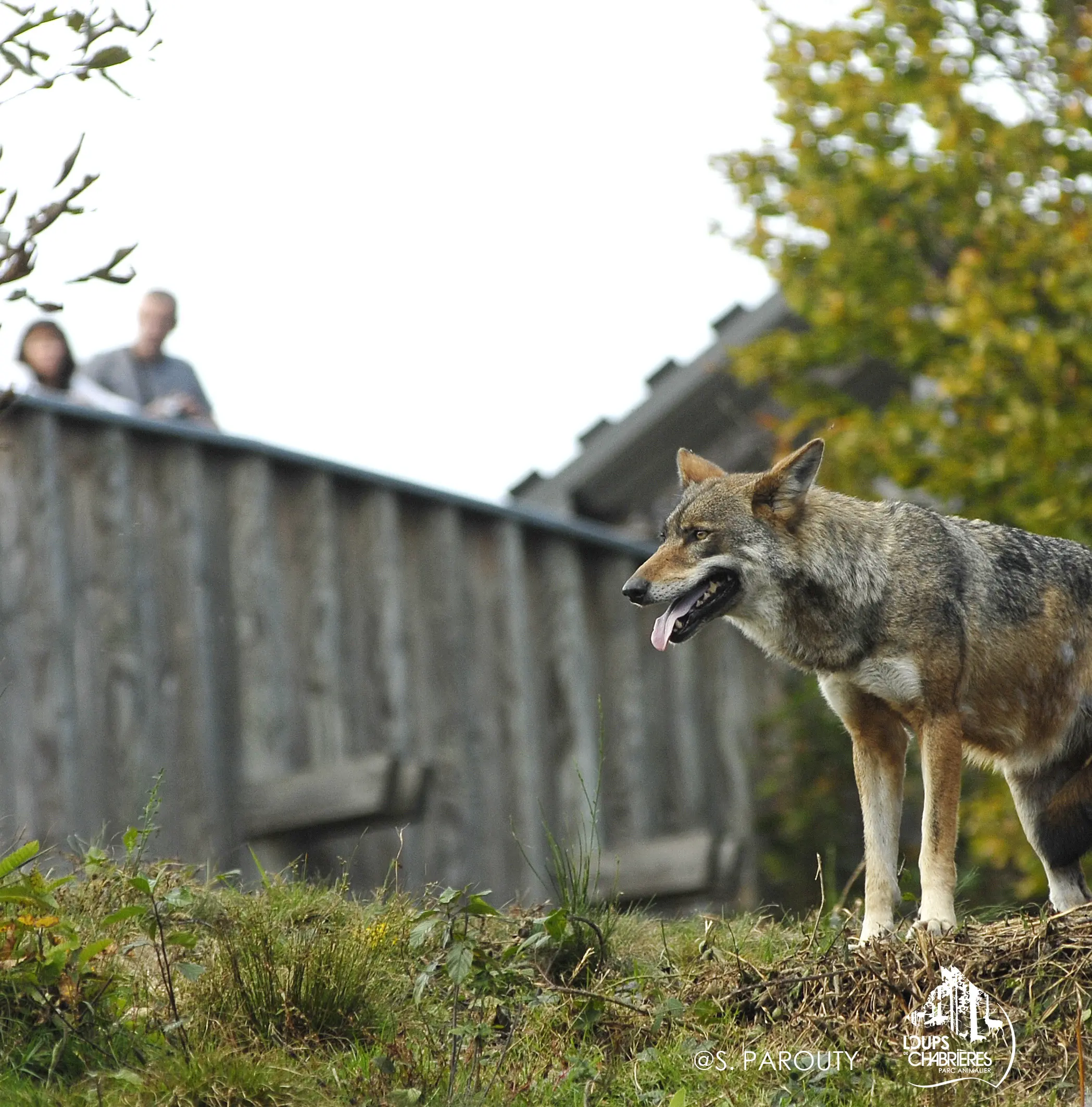 Parc Animalier des Monts de Guéret — venue Creuse
