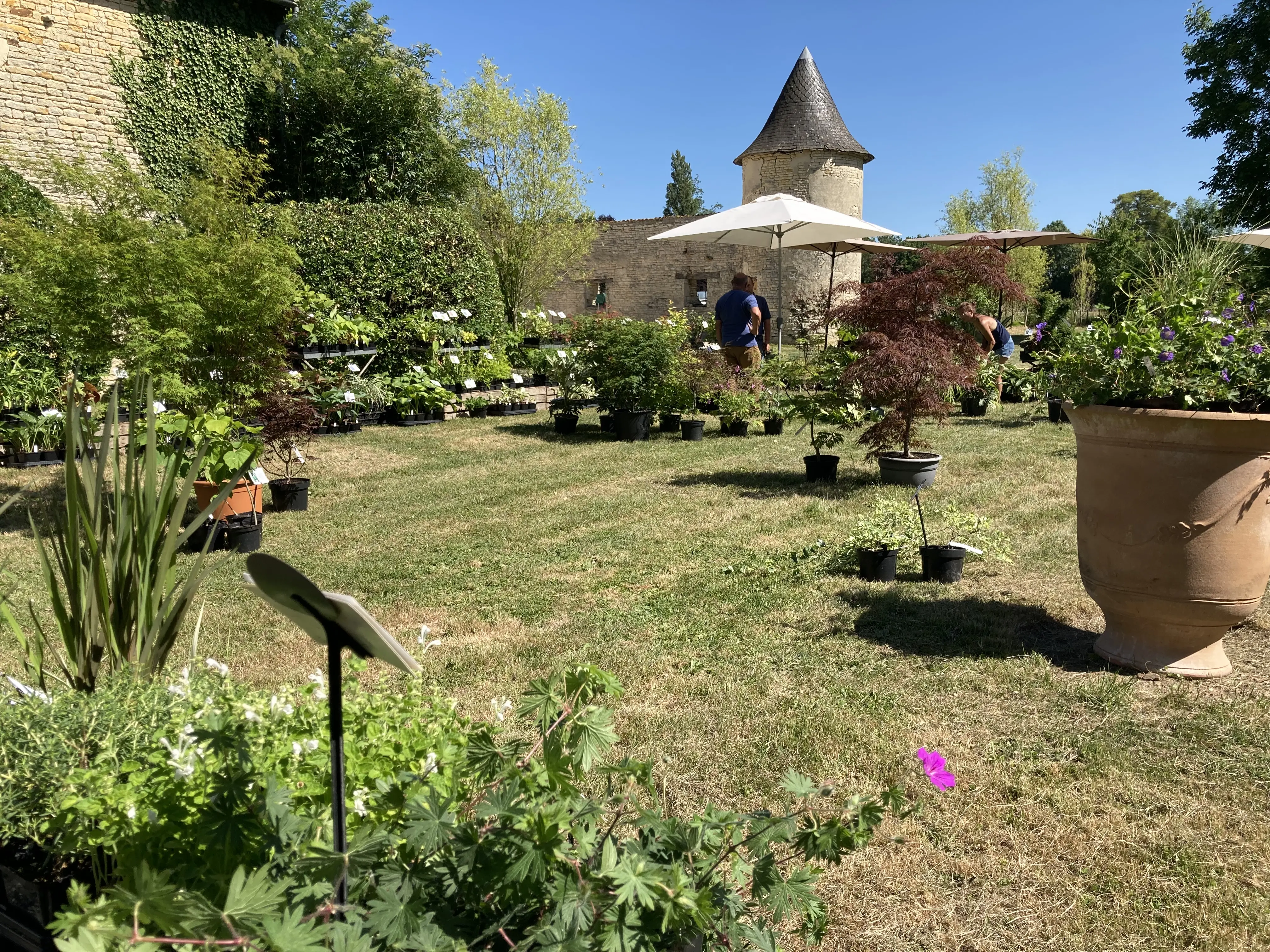 Le Domaine de Péré à Prissé-la-Charrière — salle événementielle