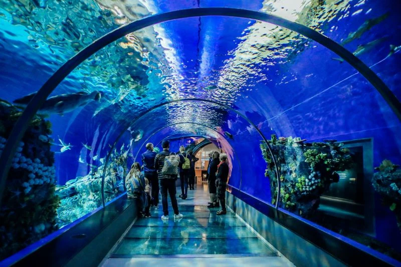 L’aquarium du Périgord Noir — lieu événementiel Dordogne
