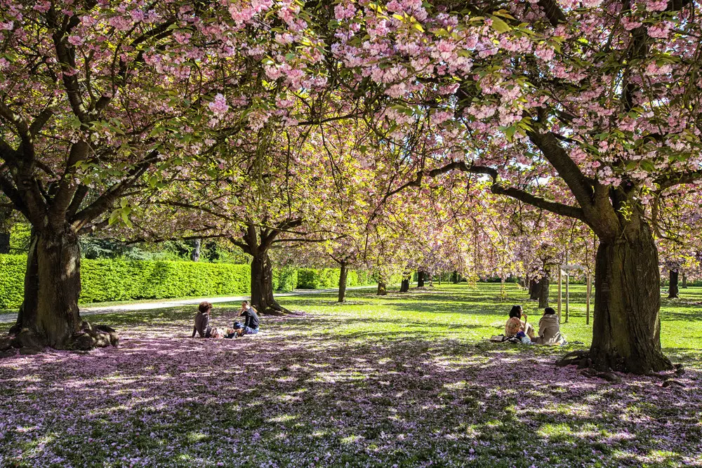 Le Parc de Sceaux : un environnement naturel pour des événements en plein air — salle événementielle