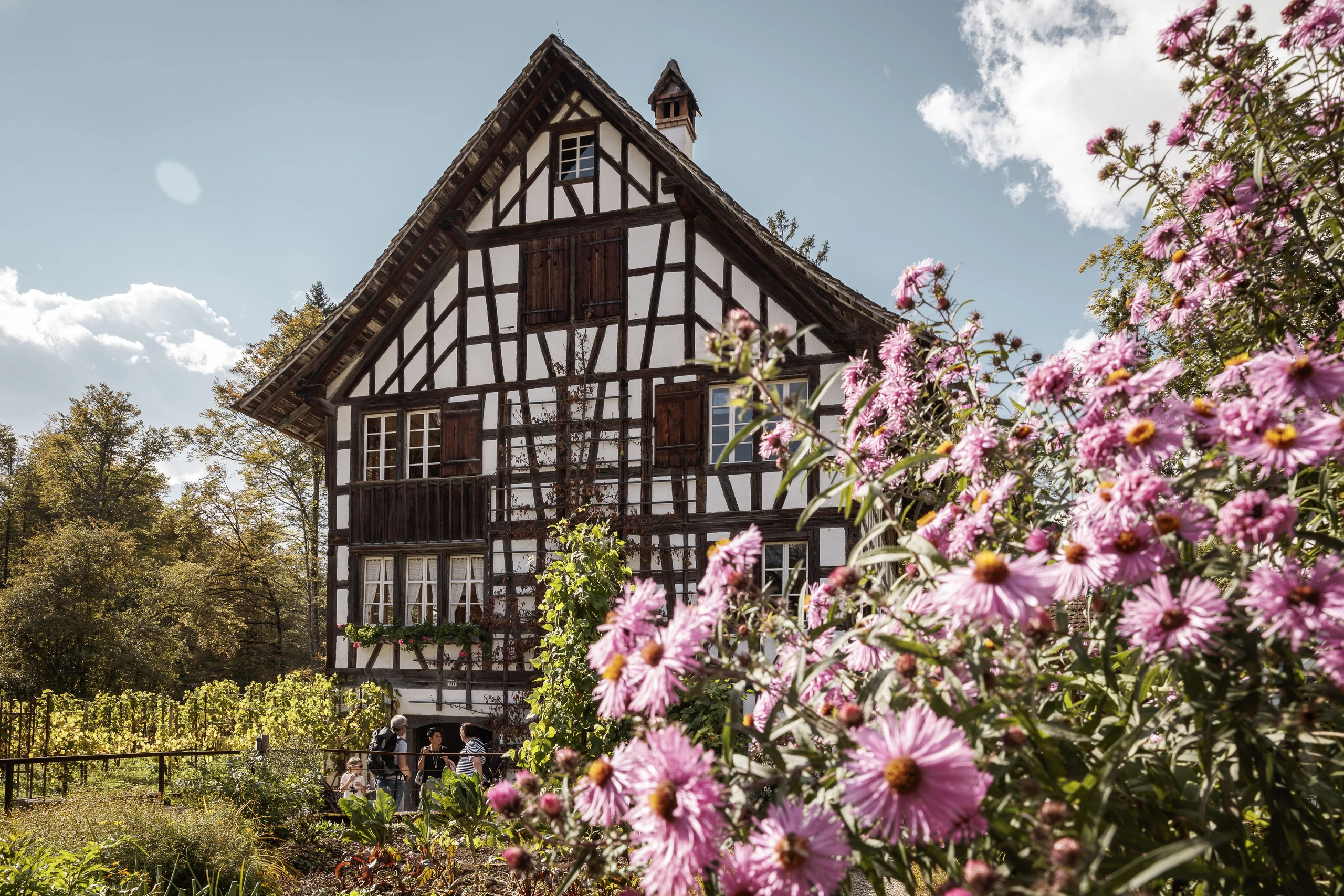Domaine du Bollenberg (Westhalten) — lieu événementiel Haut-Rhin