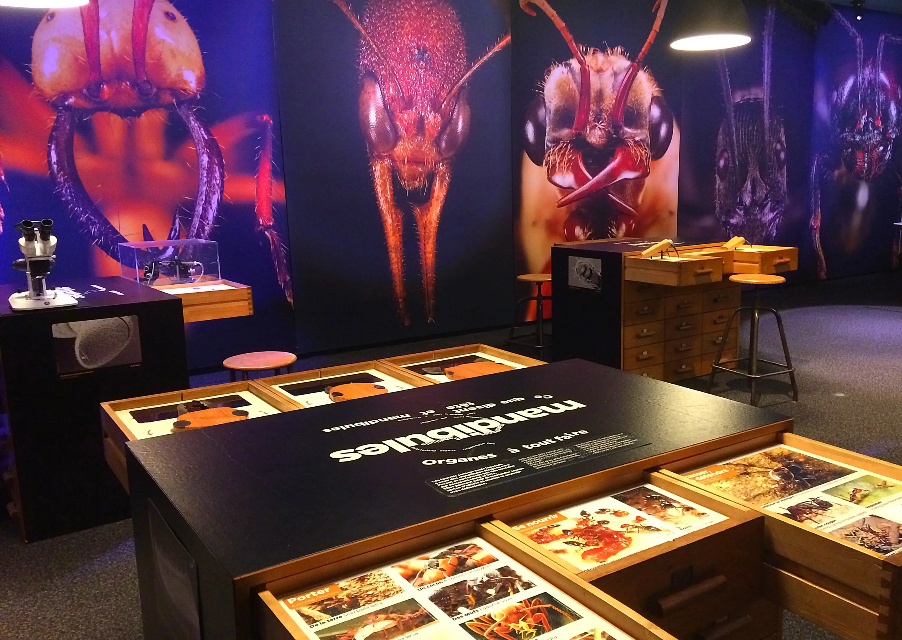 Le Pavillon des Sciences à Chaumont — venue Haute-Marne