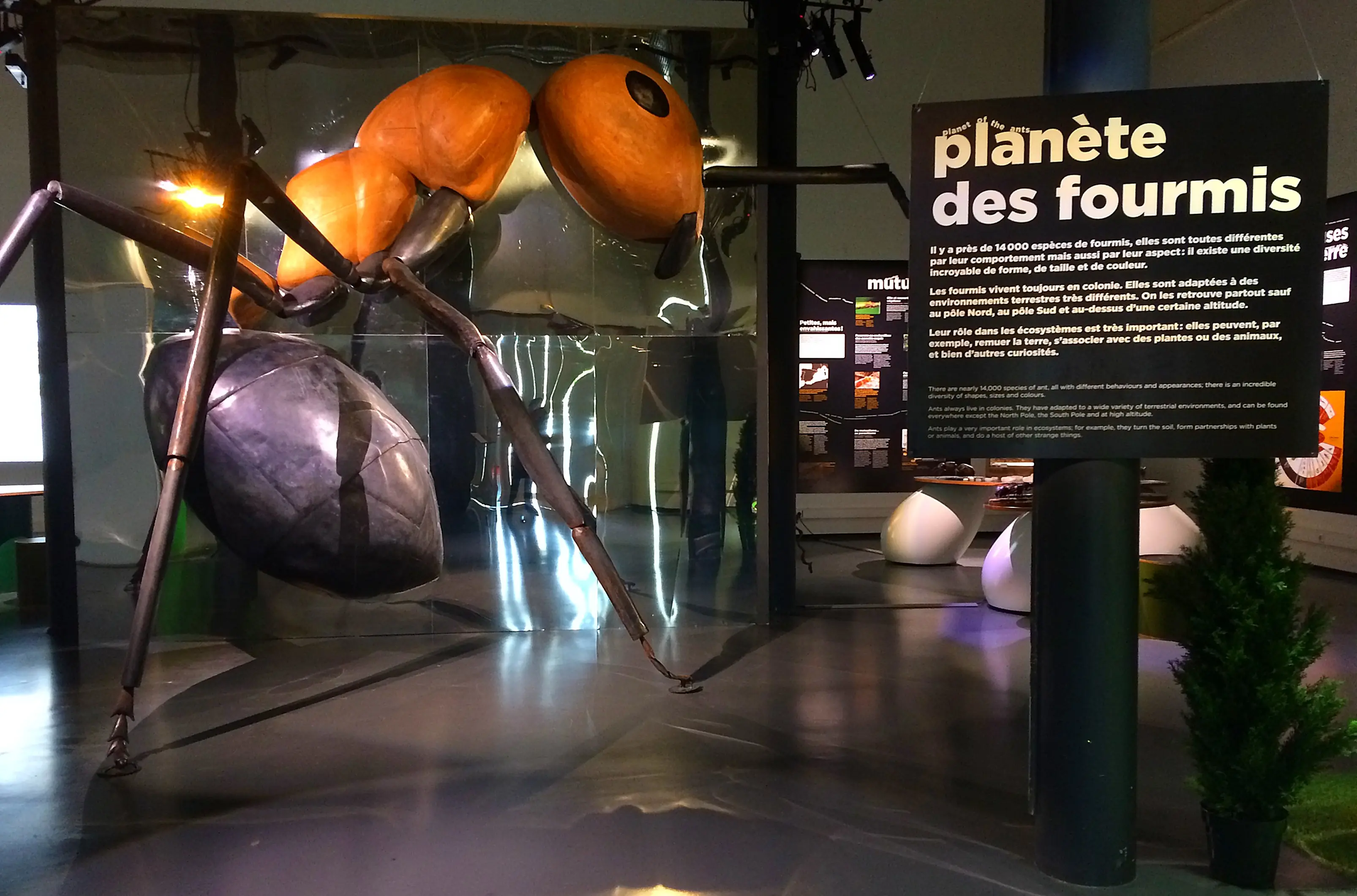Le Pavillon des Sciences à Chaumont — lieu événementiel Haute-Marne