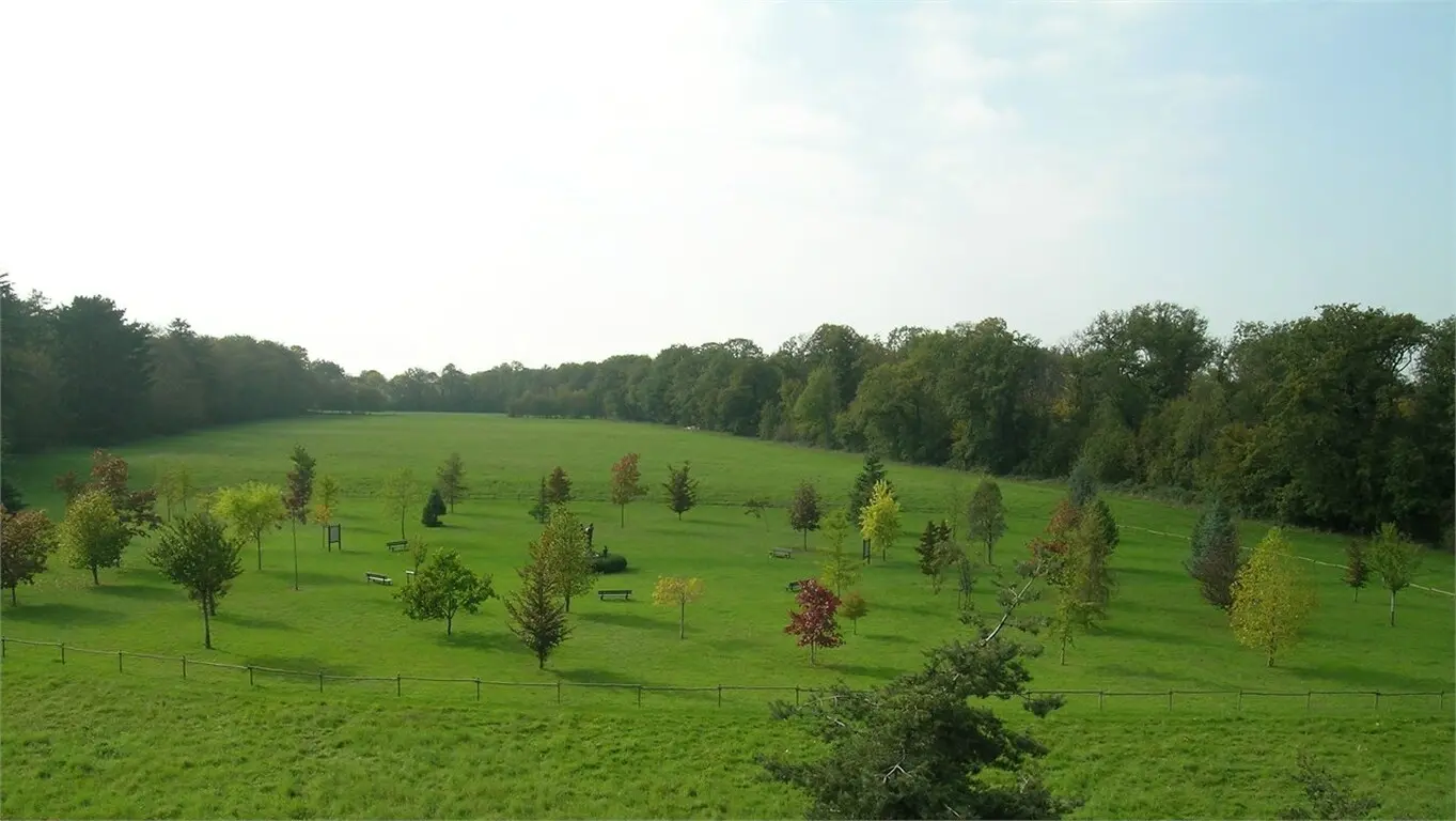 L’Arboretum de Ripaille à Thonon-les-Bains — venue Haute-Savoie