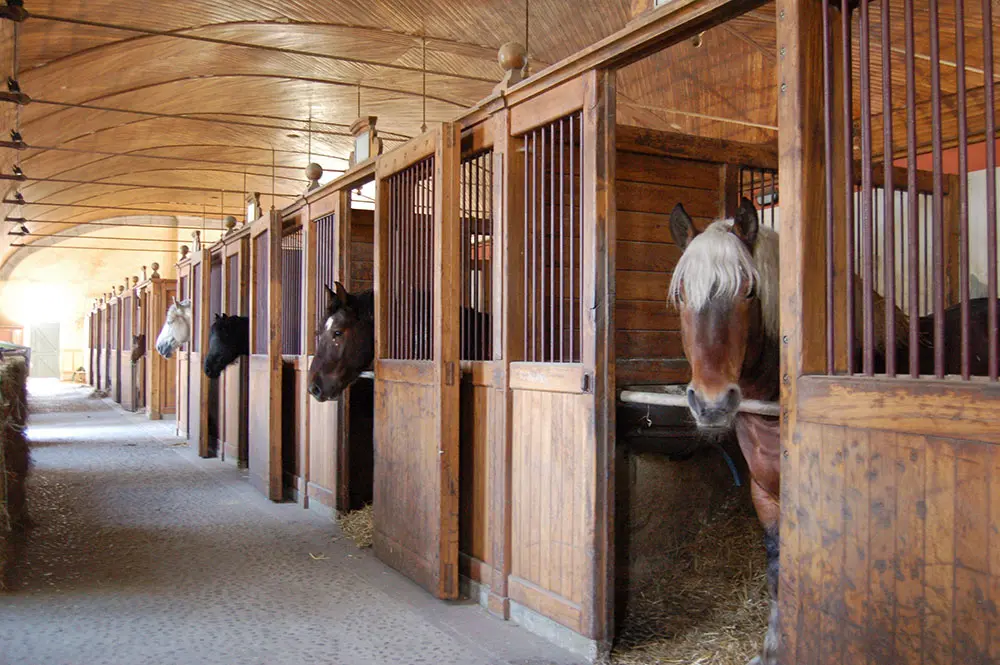 Haras National de Tarbes — salle événementielle