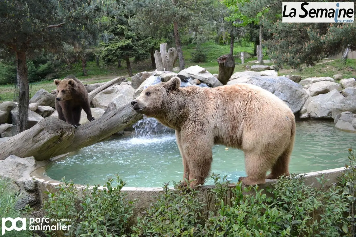 Le Parc Animalier des Pyrénées – Argelès-Gazost — venue Hautes-Pyrénées