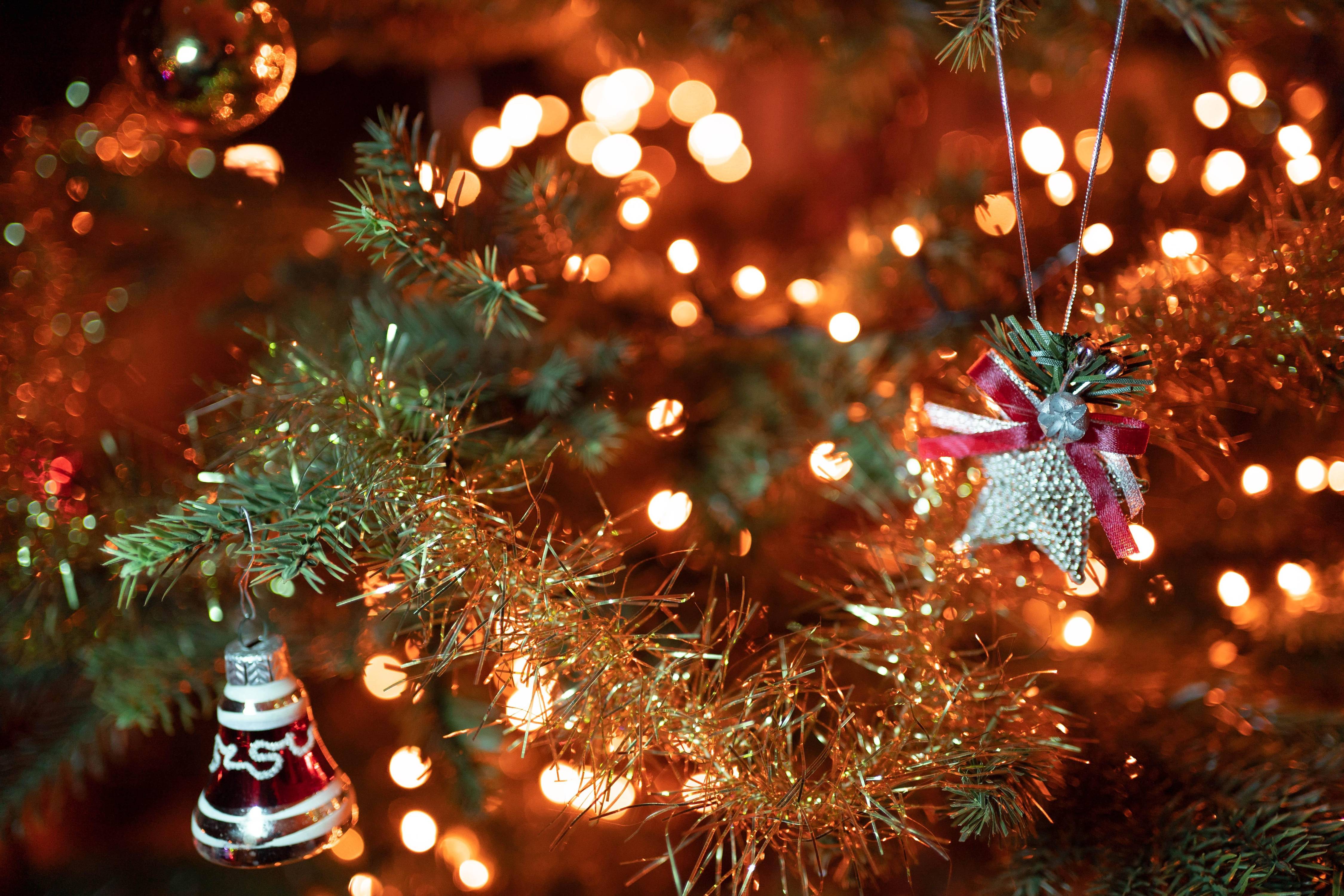 Organiser un Arbre de Noël Wavre