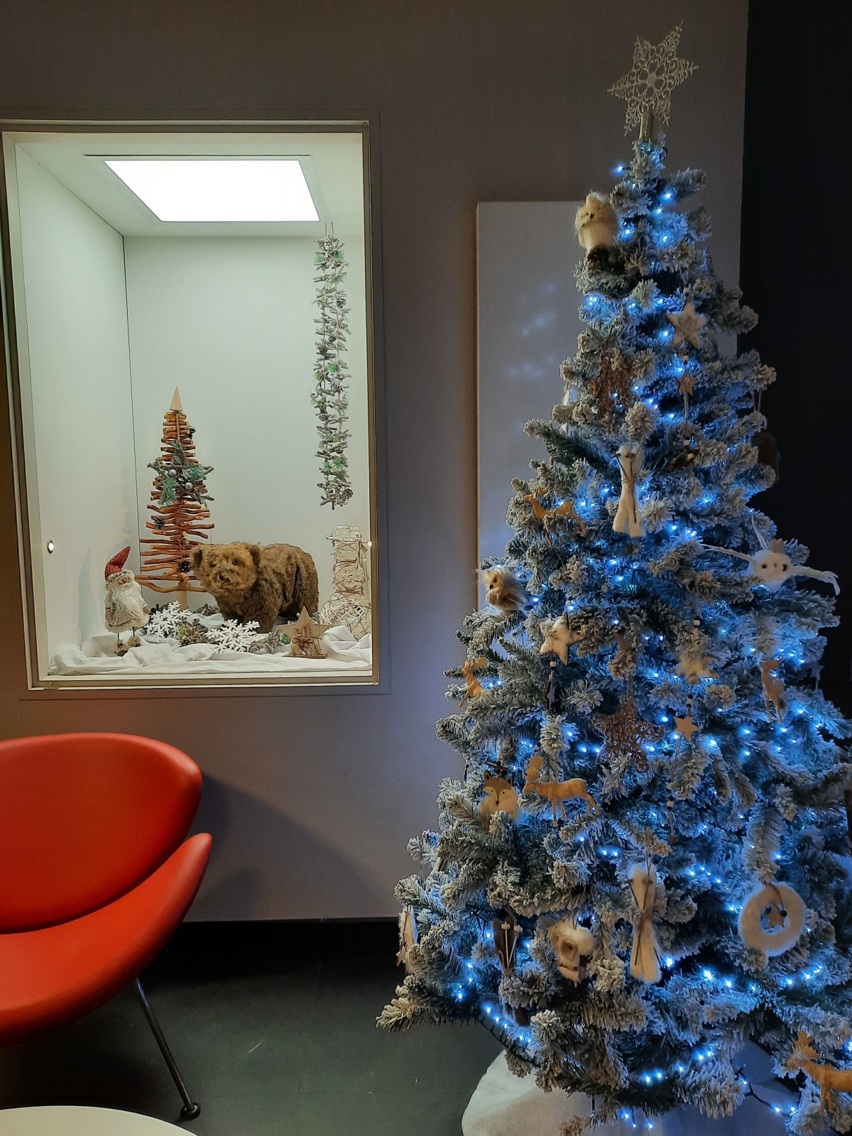 Organiser un Arbre de Noël Choisy-le-Roi