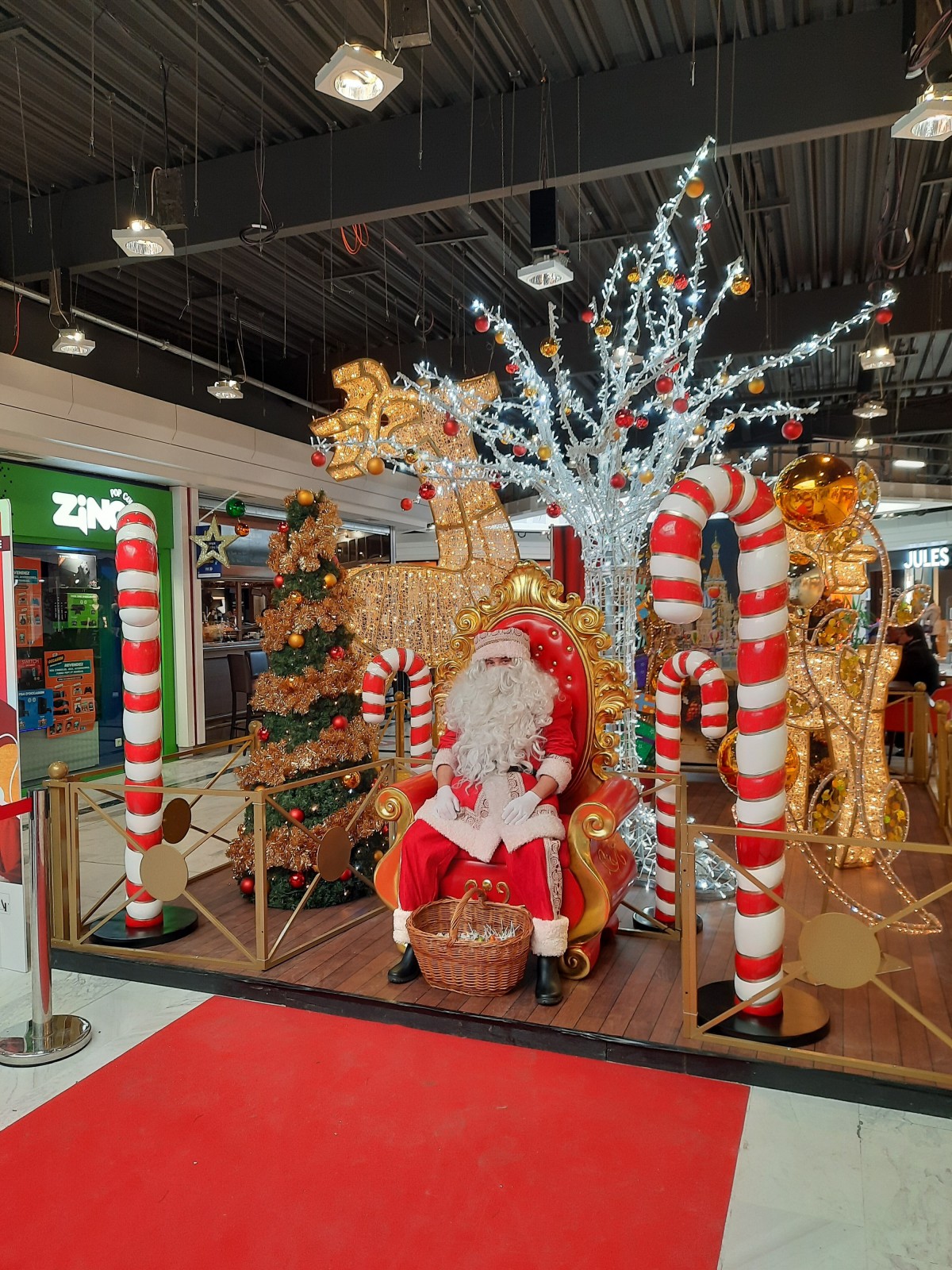 Organiser un Arbre de Noël Le Chesnay-Rocquencourt