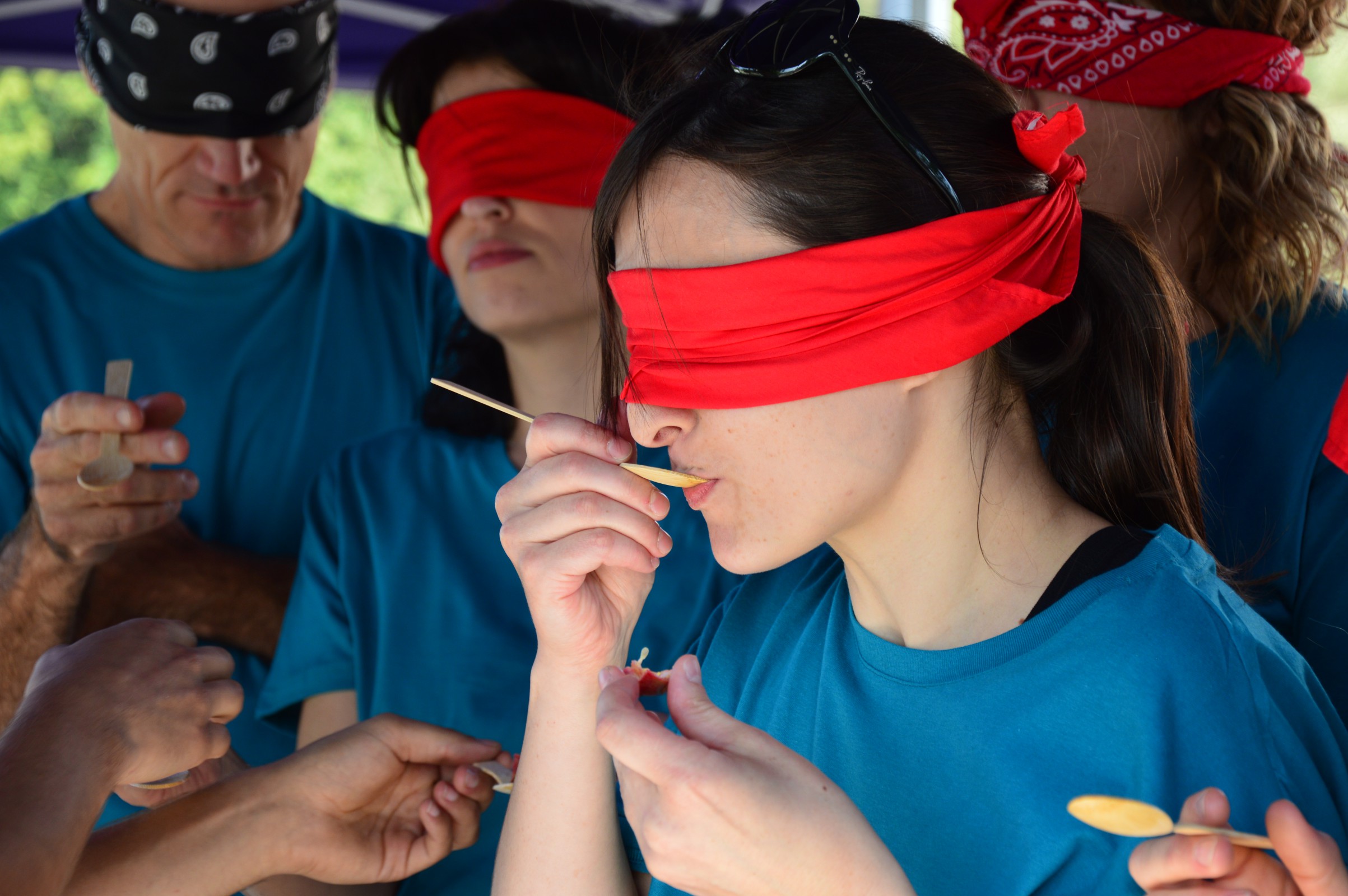 Exercice de teambuilding à Bordeaux