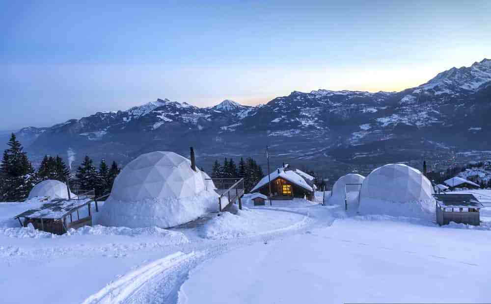 Animations hivernales et olympiade pour team building de fin d'année