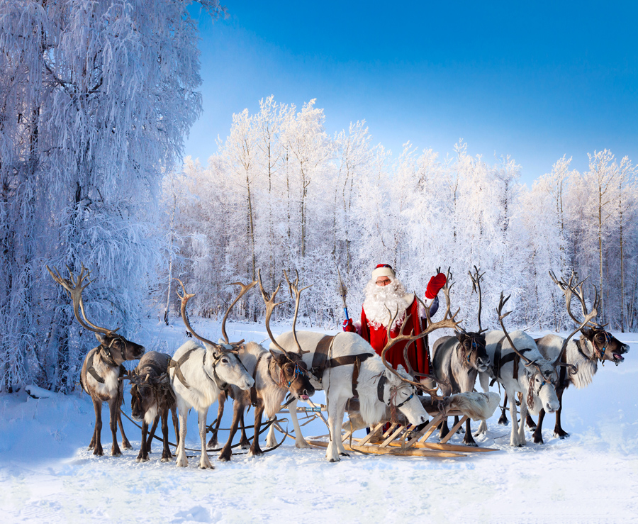 Animations arbres de noel originale grenoble