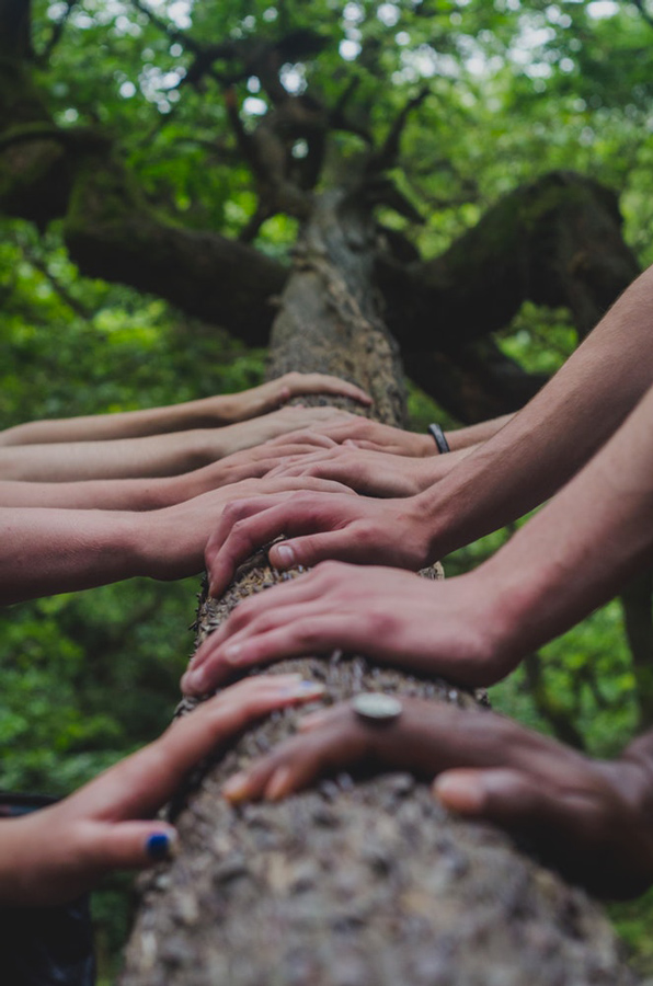 organiser un séminaire écologique à chambéry