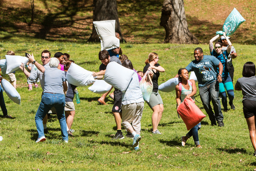 activite insolite pour team building