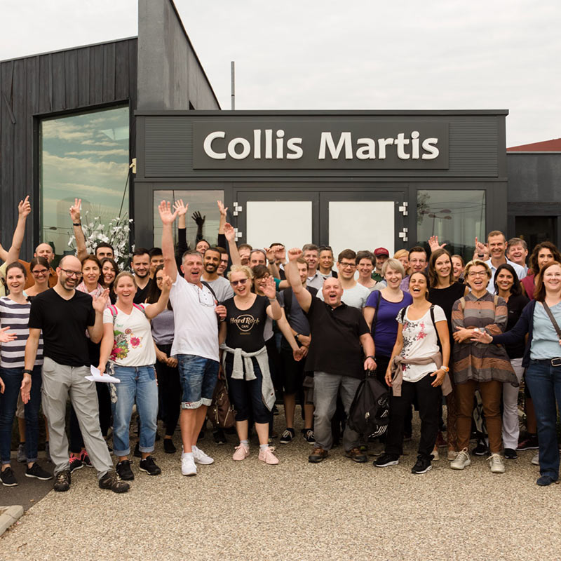 activites-cohesion-colmar Team Building animations Haut-Rhin Alsace