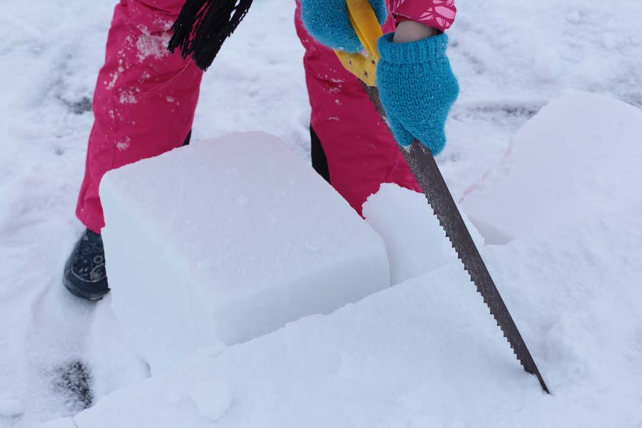 team building igloo