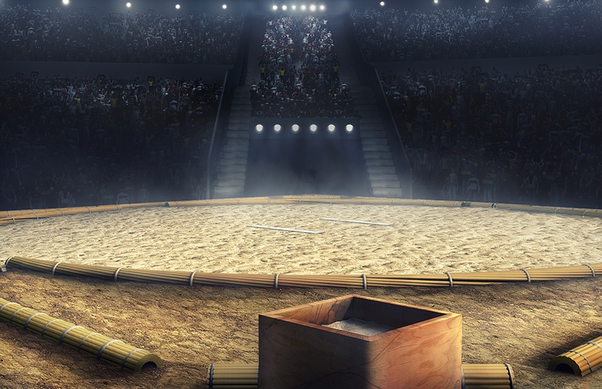 <p>DES COMBATS DE SUMO<br /><strong>POUR VOTRE TEAM BUILDING</strong></p>