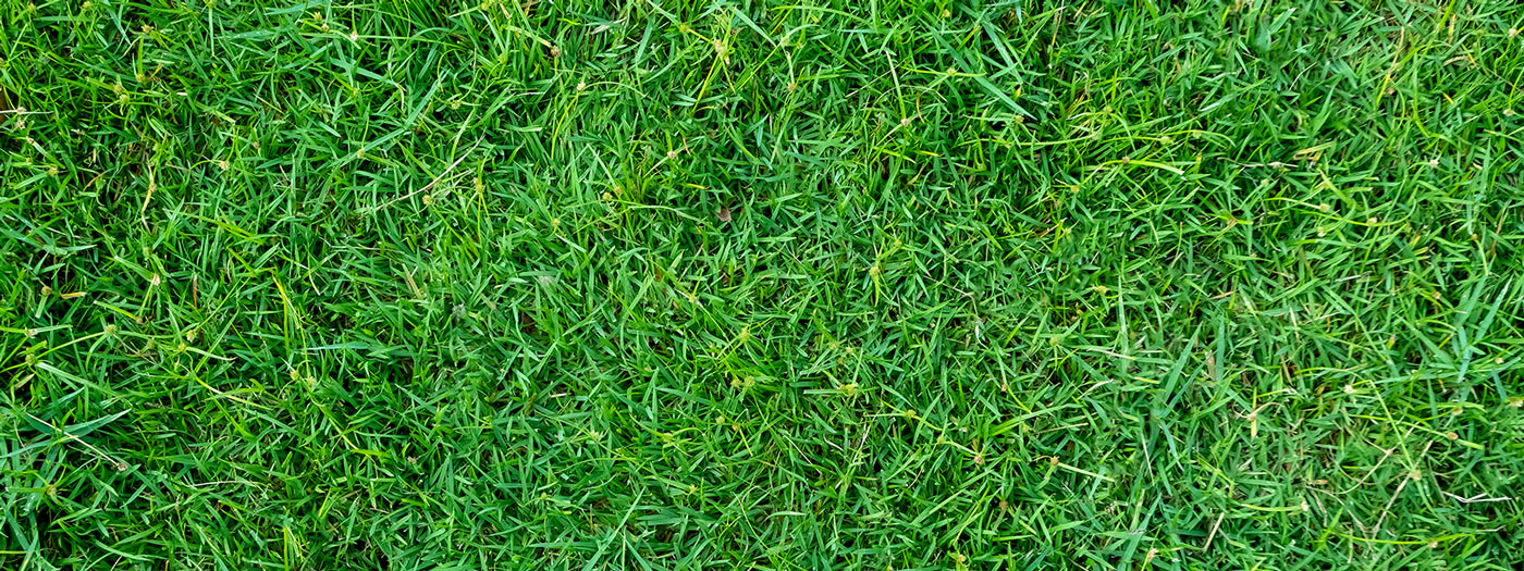 <p>Un team building écologique et<br /><strong>ludique, l’ecolo-foot</strong></p>