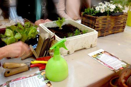 potager urbain lyon