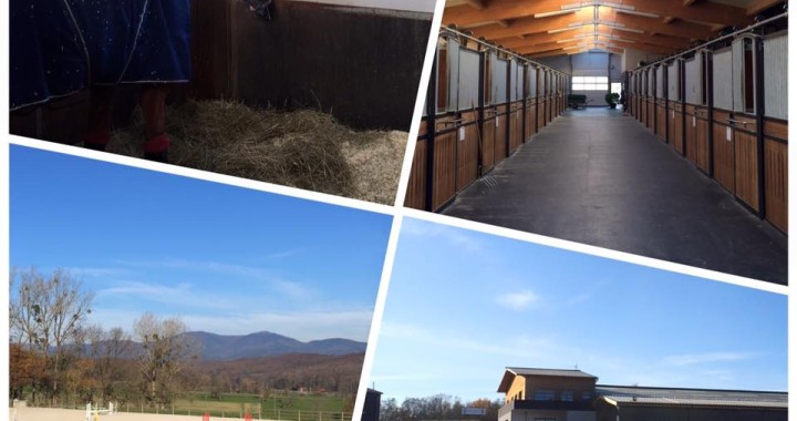 Haras manège à chevaux (68)