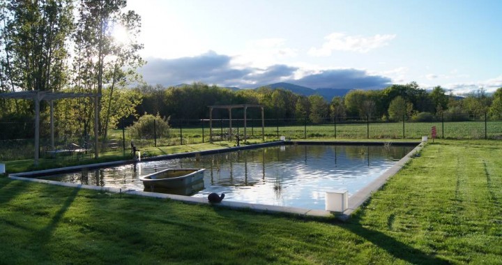 location-etang-68-Mulhouse-haut-rhin
