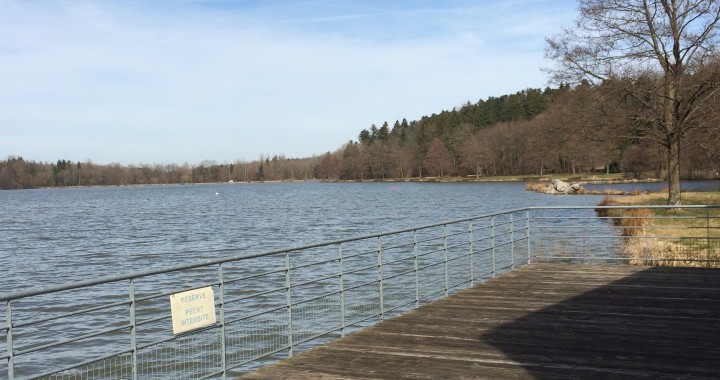 Location de salle au bord du lac à Courtavon (68)