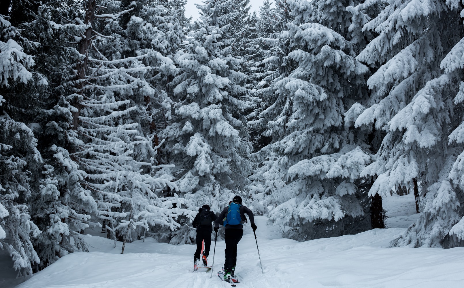 atelier hivers haute savoie 74