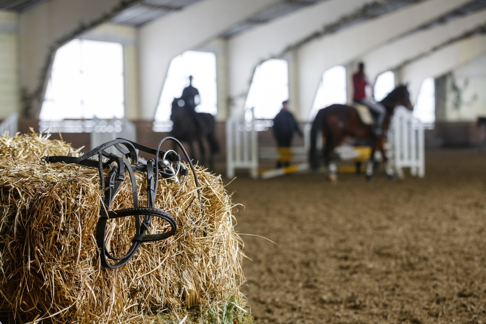 organisez un seminaire incentive hippique le mans