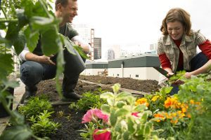 potager en entreprise