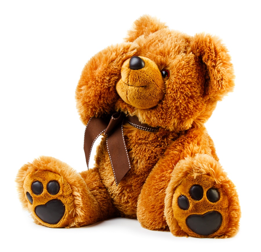 animations création peluche la rochelle