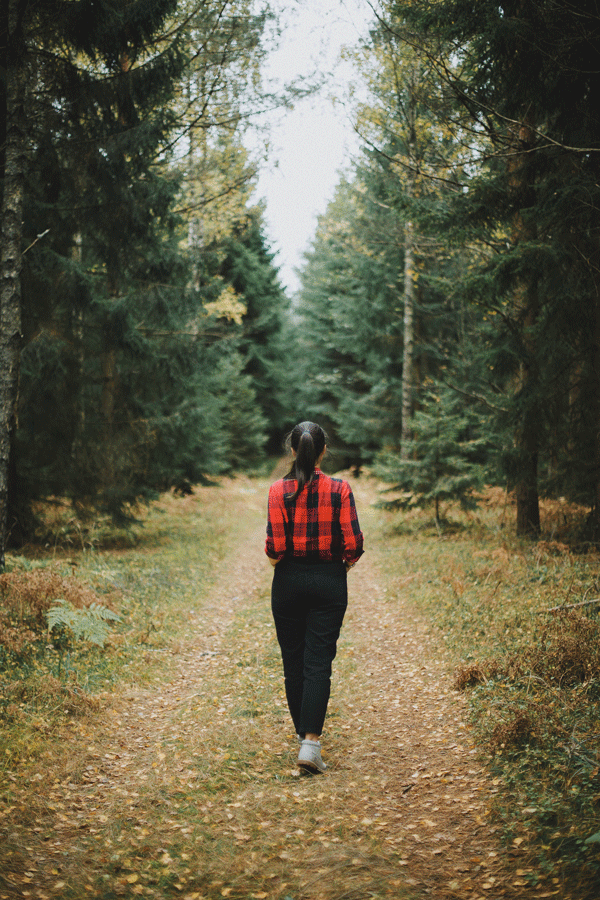 seminaire digital detox drome