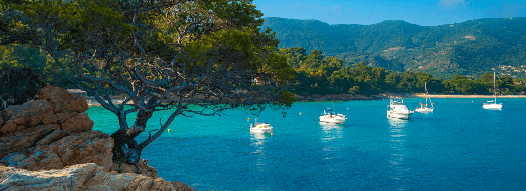 organisation evenements var