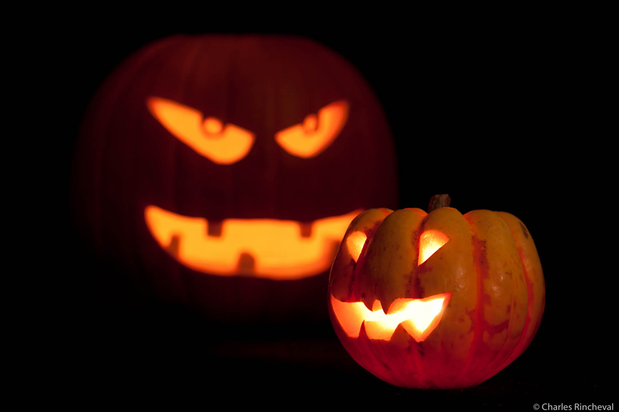 Toulon : Quelles animations d’halloween choisir pour son événement d’entreprises dans le Var (83)