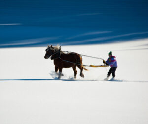 ski joering marseille