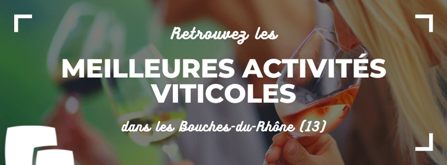 Les meilleures activités viticoles pour votre Team Building dans les Bouches du Rhône (13)