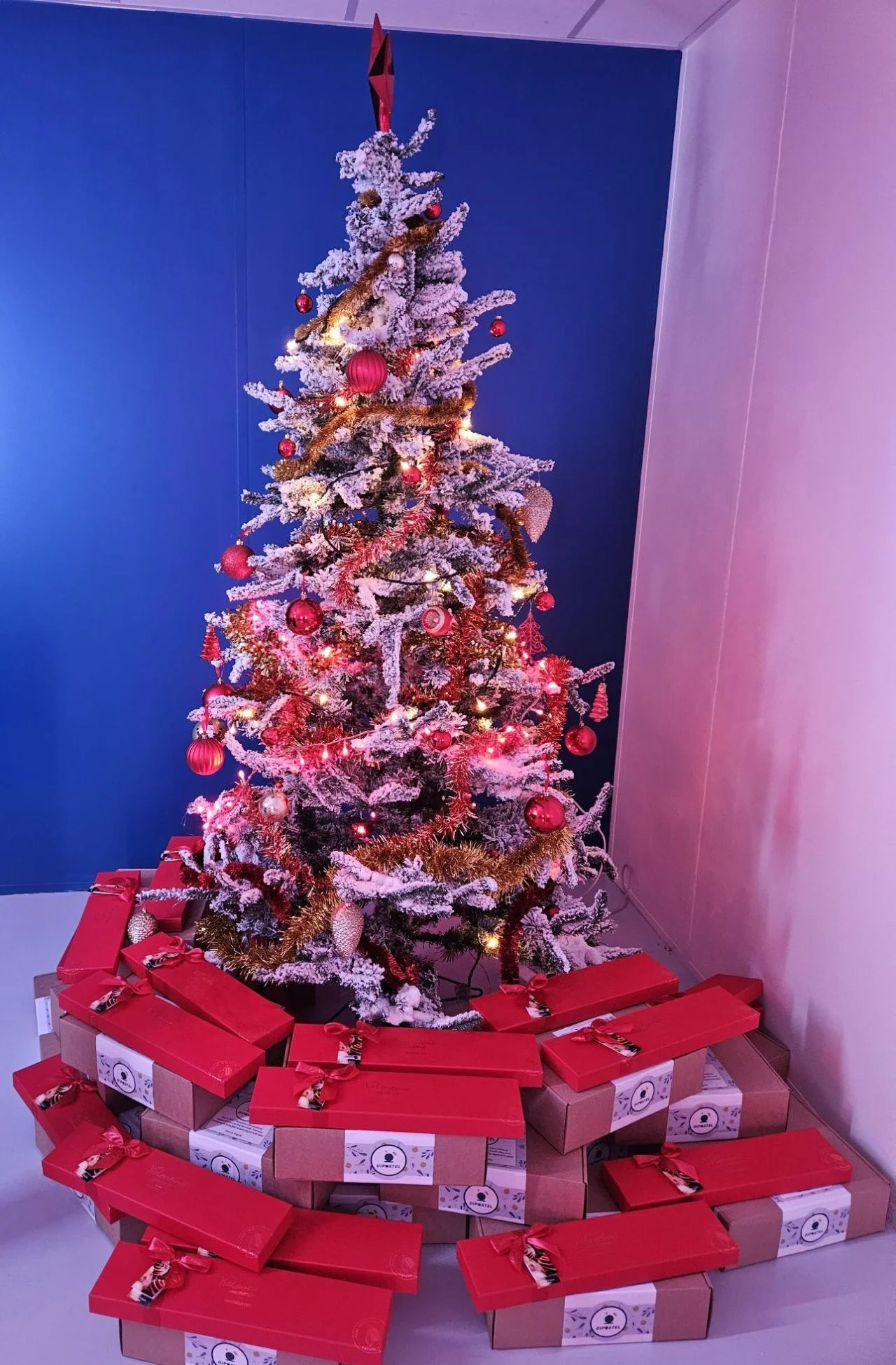 Fête de Noël entreprise & Arbre de Noël — Animation & organisation — INNOV'events Montpellier — INNOV'events