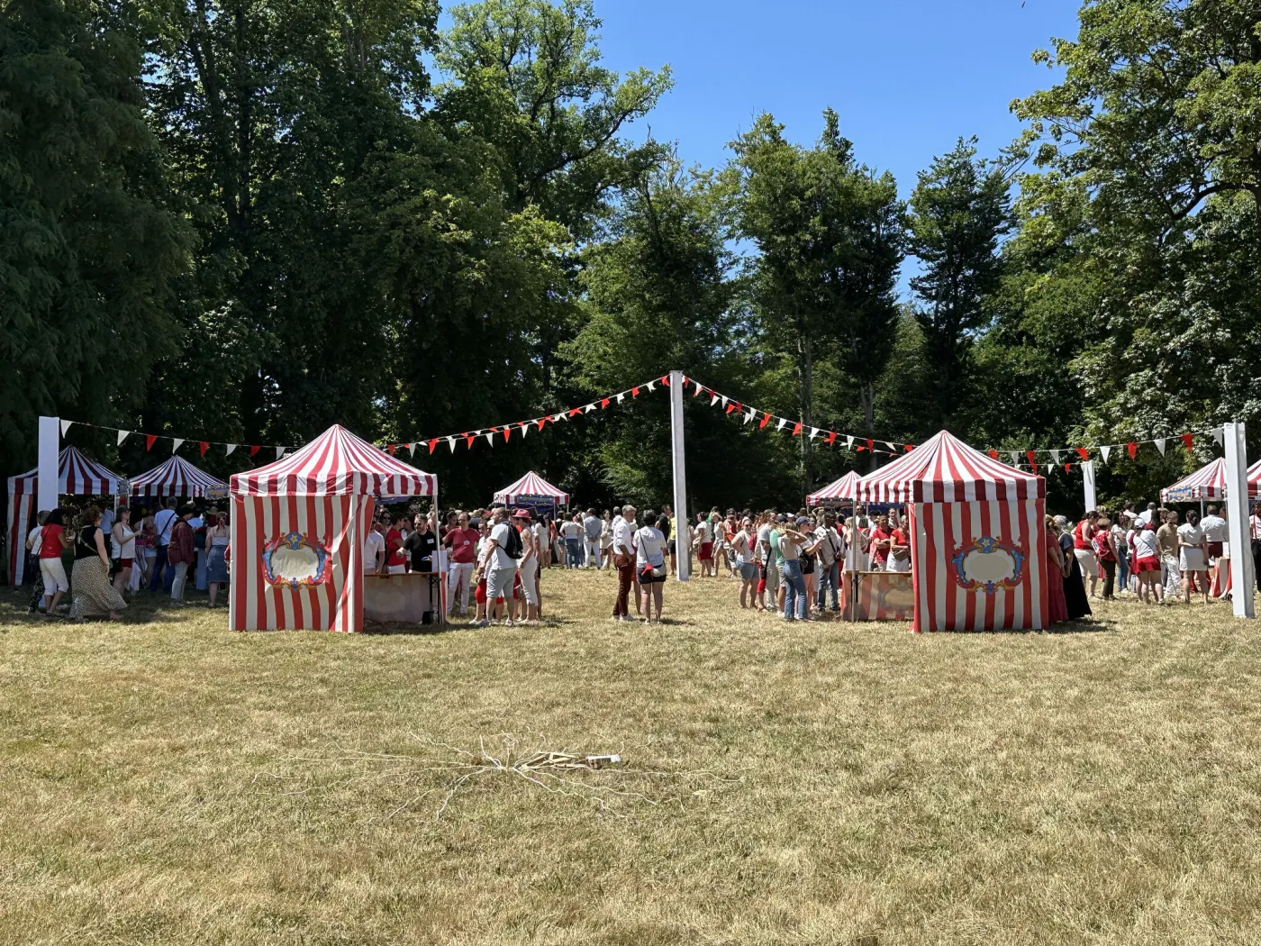 Garden Party d'entreprise — Organisation réception en plein air — INNOV'events Angers — INNOV'events