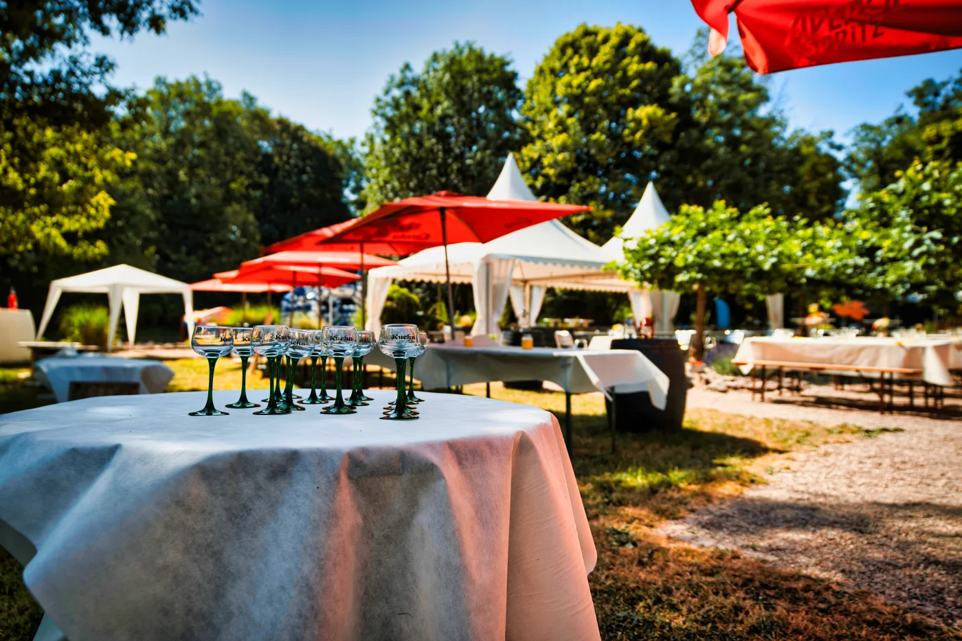 Anniversaire résidentiel direction Agroalimentaire — dîner de prestige